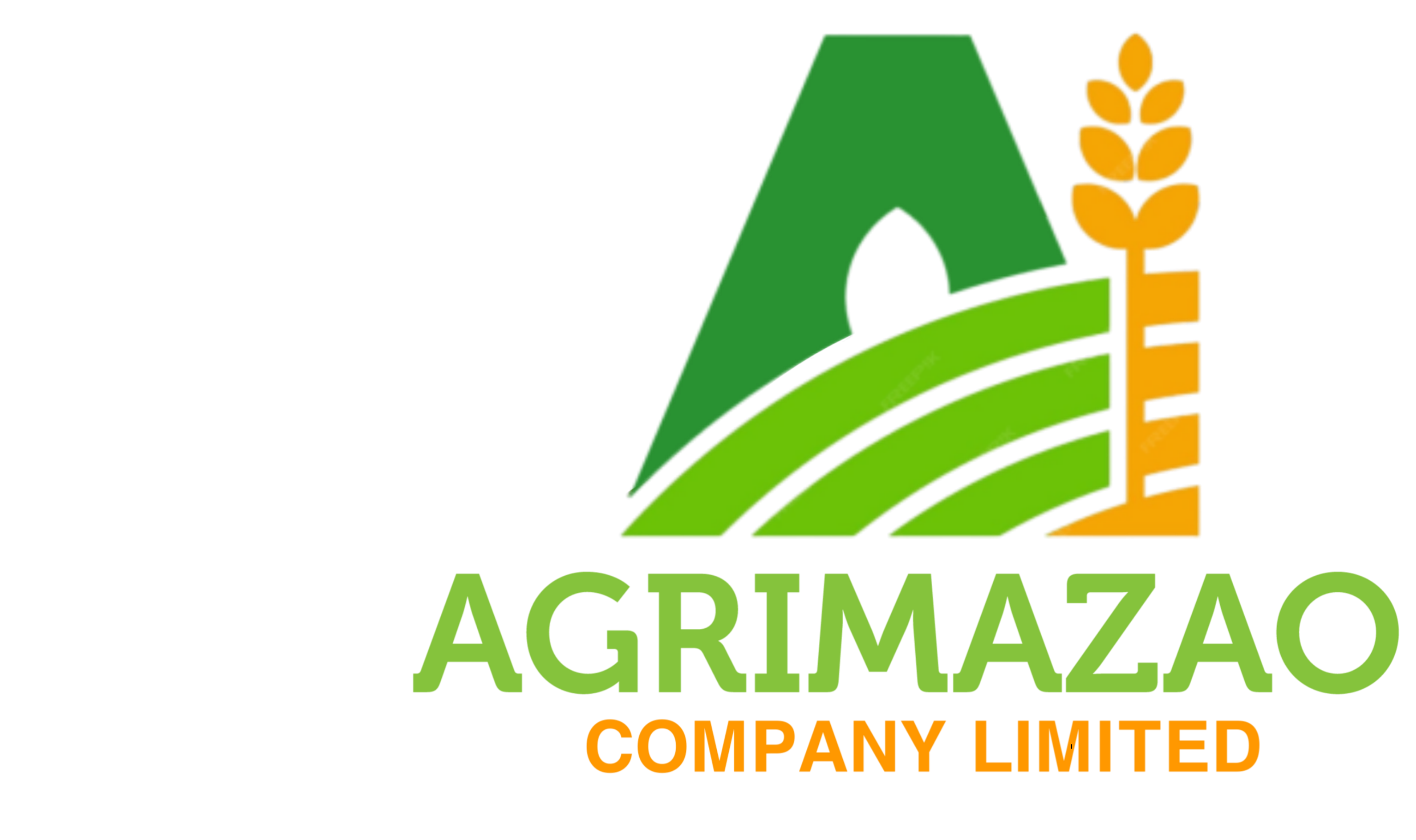 Agrimazao Company Limited